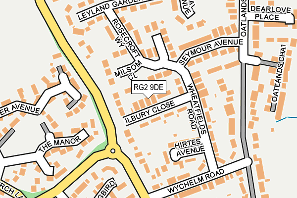 RG2 9DE map - OS OpenMap – Local (Ordnance Survey)