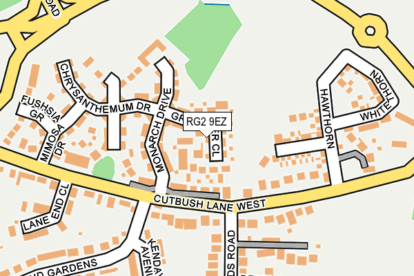 RG2 9EZ map - OS OpenMap – Local (Ordnance Survey)