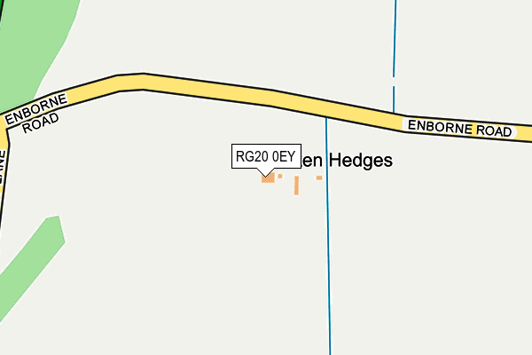 RG20 0EY map - OS OpenMap – Local (Ordnance Survey)