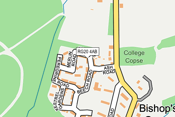 RG20 4AB map - OS OpenMap – Local (Ordnance Survey)