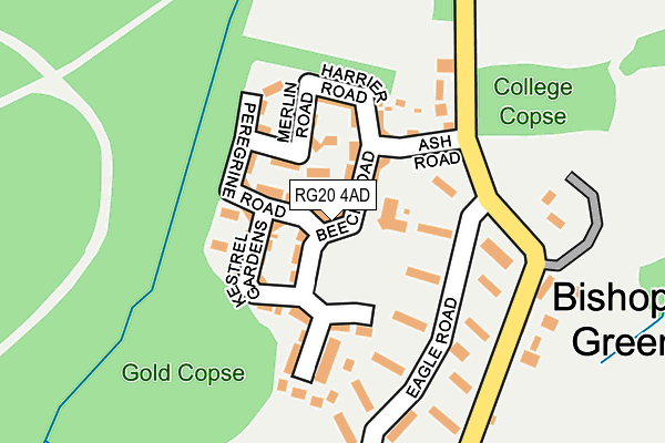 RG20 4AD map - OS OpenMap – Local (Ordnance Survey)