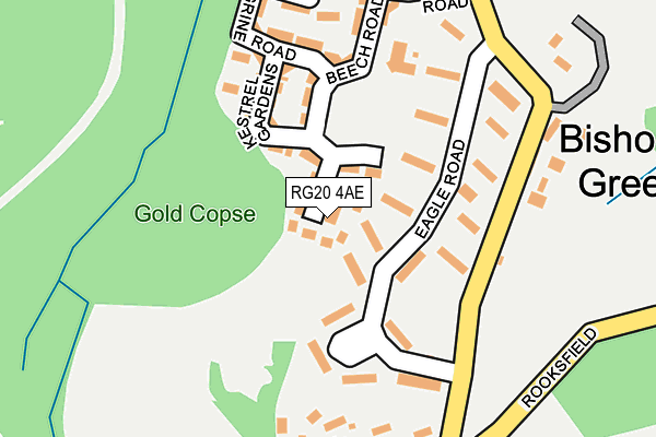 RG20 4AE map - OS OpenMap – Local (Ordnance Survey)