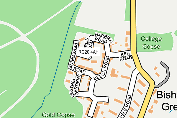 RG20 4AH map - OS OpenMap – Local (Ordnance Survey)