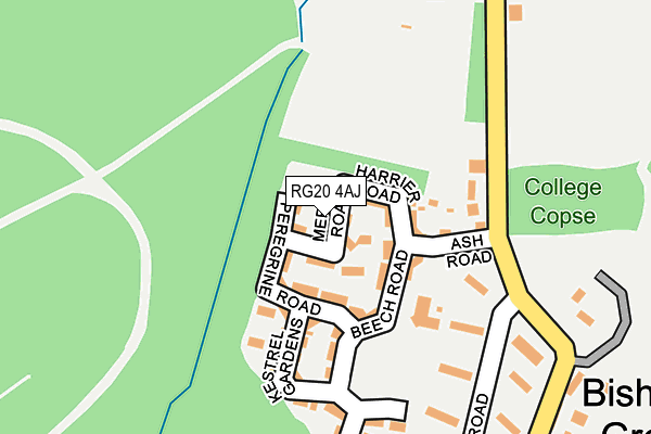 RG20 4AJ map - OS OpenMap – Local (Ordnance Survey)