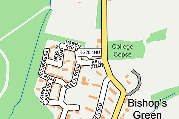 RG20 4HU map - OS OpenMap – Local (Ordnance Survey)