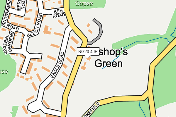 RG20 4JP map - OS OpenMap – Local (Ordnance Survey)
