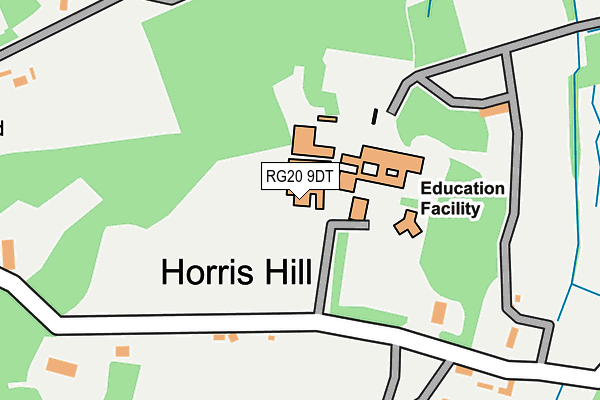 RG20 9DT map - OS OpenMap – Local (Ordnance Survey)