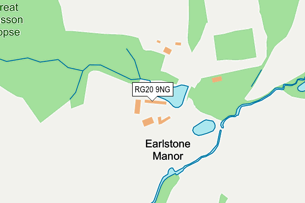 RG20 9NG map - OS OpenMap – Local (Ordnance Survey)