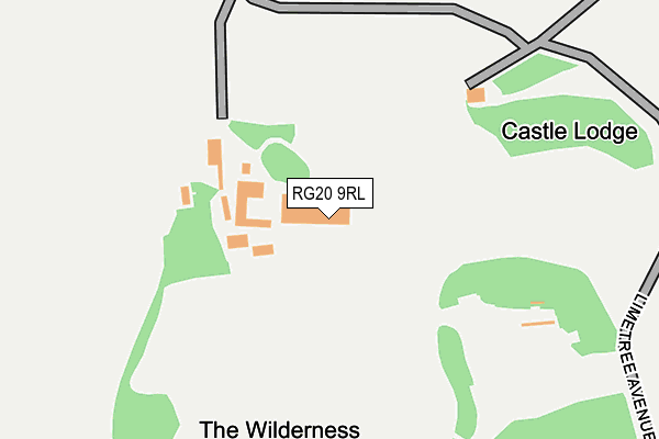 RG20 9RL map - OS OpenMap – Local (Ordnance Survey)