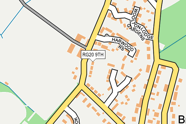 RG20 9TH map - OS OpenMap – Local (Ordnance Survey)