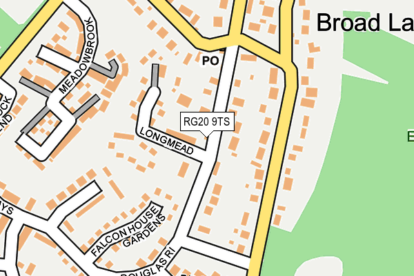 RG20 9TS map - OS OpenMap – Local (Ordnance Survey)