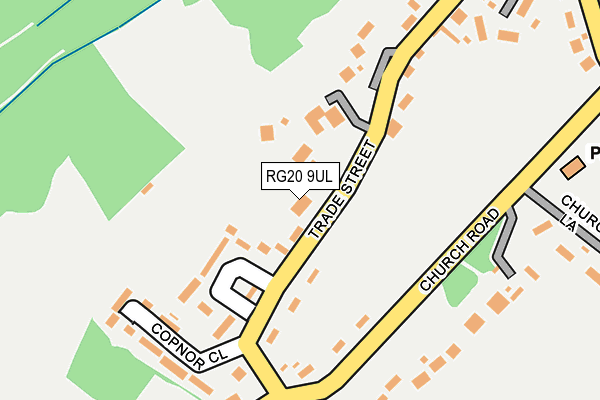 RG20 9UL map - OS OpenMap – Local (Ordnance Survey)