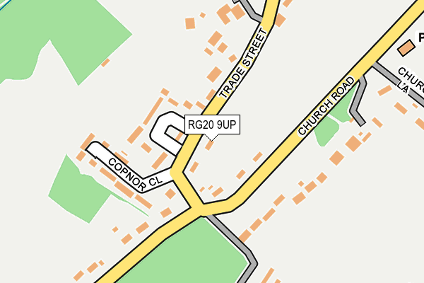 RG20 9UP map - OS OpenMap – Local (Ordnance Survey)