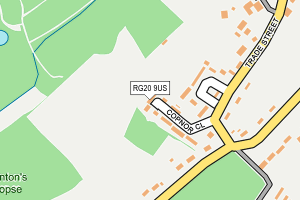 RG20 9US map - OS OpenMap – Local (Ordnance Survey)