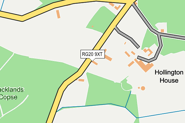 RG20 9XT map - OS OpenMap – Local (Ordnance Survey)