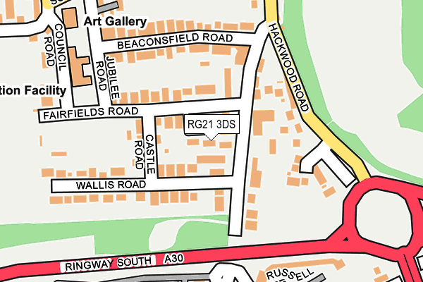 RG21 3DS map - OS OpenMap – Local (Ordnance Survey)