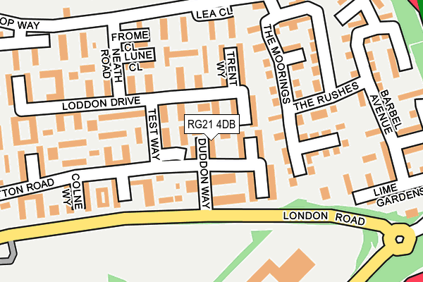 RG21 4DB map - OS OpenMap – Local (Ordnance Survey)