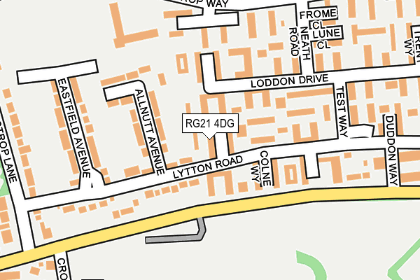 RG21 4DG map - OS OpenMap – Local (Ordnance Survey)