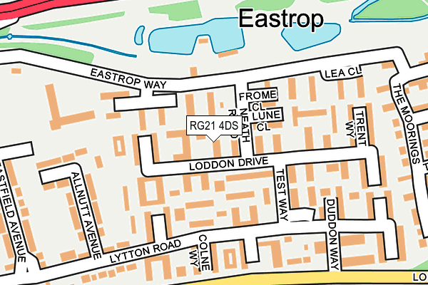 RG21 4DS map - OS OpenMap – Local (Ordnance Survey)