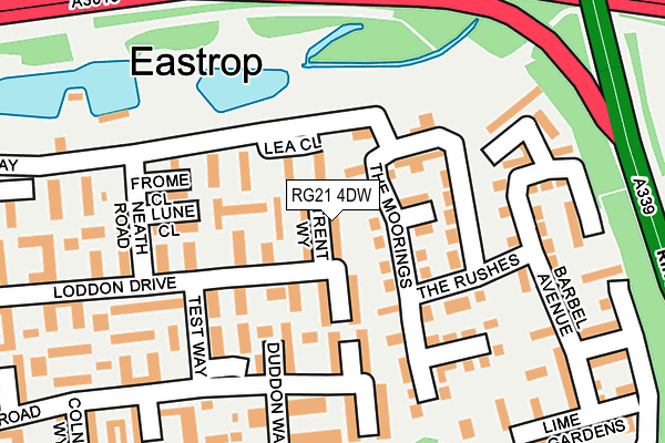RG21 4DW map - OS OpenMap – Local (Ordnance Survey)