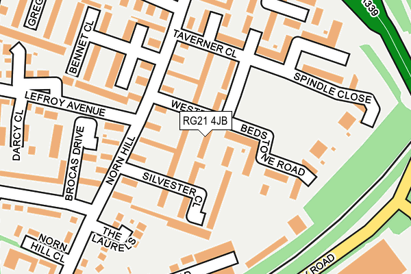 RG21 4JB map - OS OpenMap – Local (Ordnance Survey)