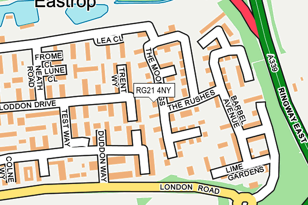 RG21 4NY map - OS OpenMap – Local (Ordnance Survey)