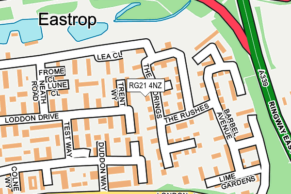 RG21 4NZ map - OS OpenMap – Local (Ordnance Survey)