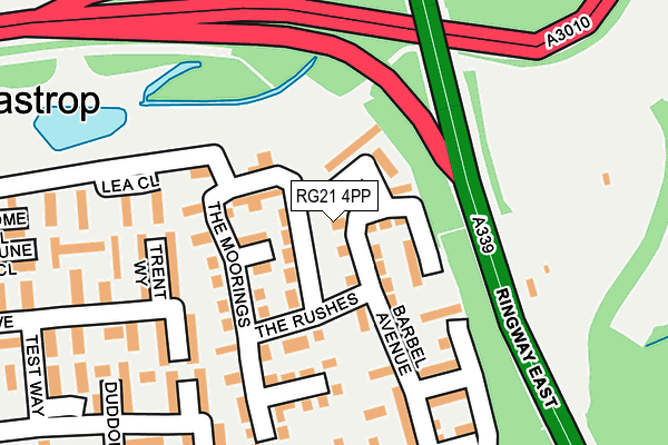 RG21 4PP map - OS OpenMap – Local (Ordnance Survey)