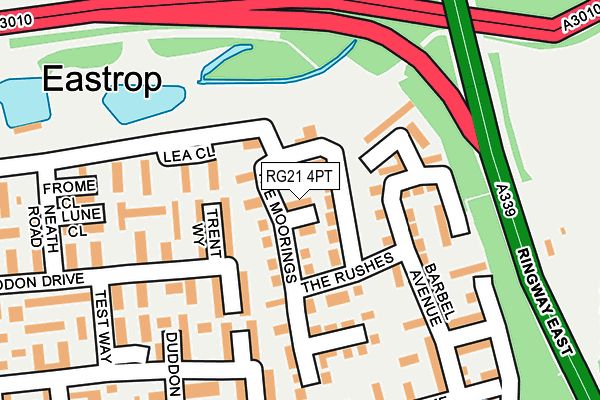 RG21 4PT map - OS OpenMap – Local (Ordnance Survey)
