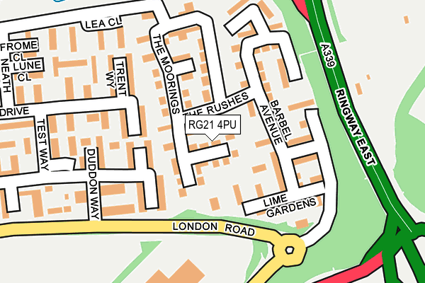RG21 4PU map - OS OpenMap – Local (Ordnance Survey)