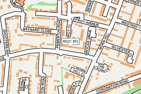 RG21 5PJ map - OS OpenMap – Local (Ordnance Survey)