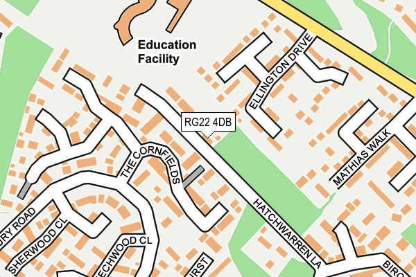 RG22 4DB map - OS OpenMap – Local (Ordnance Survey)