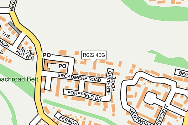 RG22 4DG map - OS OpenMap – Local (Ordnance Survey)