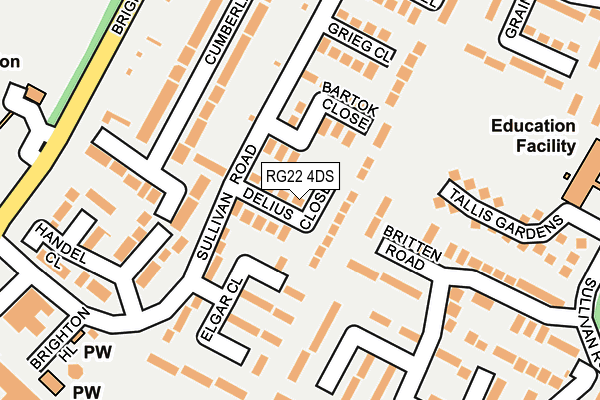 RG22 4DS map - OS OpenMap – Local (Ordnance Survey)
