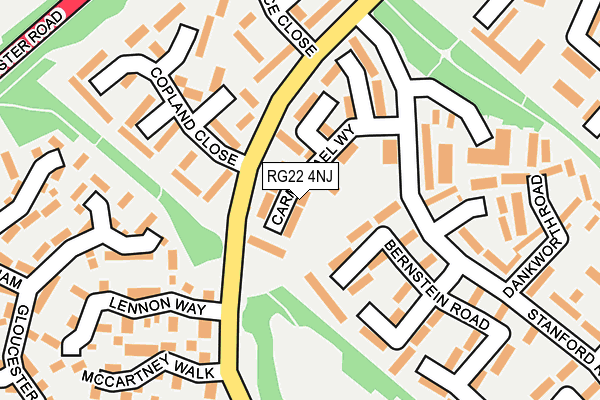 RG22 4NJ map - OS OpenMap – Local (Ordnance Survey)