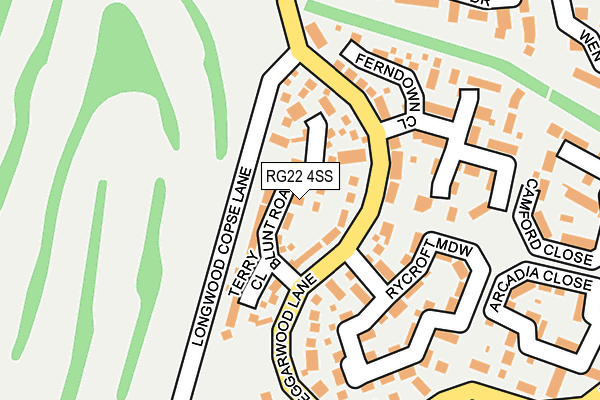 RG22 4SS map - OS OpenMap – Local (Ordnance Survey)