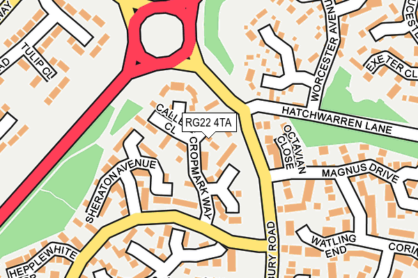 RG22 4TA map - OS OpenMap – Local (Ordnance Survey)