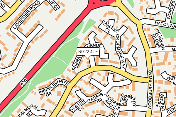 RG22 4TF map - OS OpenMap – Local (Ordnance Survey)