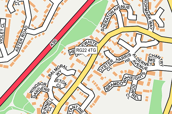 RG22 4TG map - OS OpenMap – Local (Ordnance Survey)