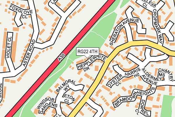 RG22 4TH map - OS OpenMap – Local (Ordnance Survey)