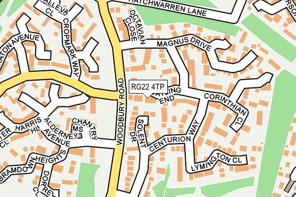 RG22 4TP map - OS OpenMap – Local (Ordnance Survey)