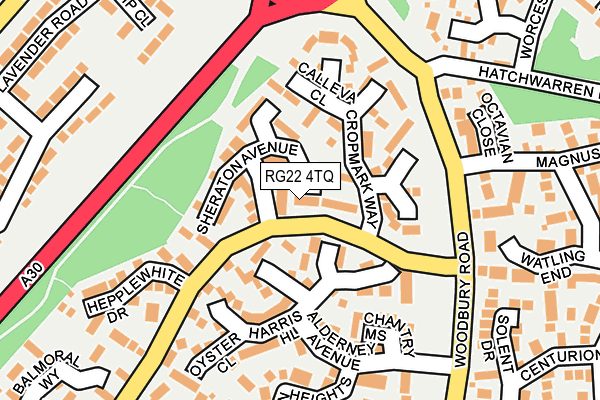 RG22 4TQ map - OS OpenMap – Local (Ordnance Survey)