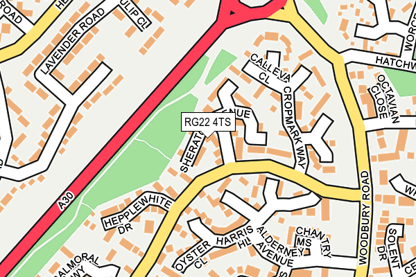 RG22 4TS map - OS OpenMap – Local (Ordnance Survey)