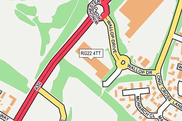 RG22 4TT map - OS OpenMap – Local (Ordnance Survey)