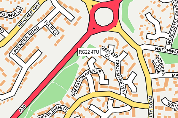 RG22 4TU map - OS OpenMap – Local (Ordnance Survey)