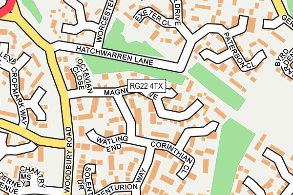RG22 4TX map - OS OpenMap – Local (Ordnance Survey)