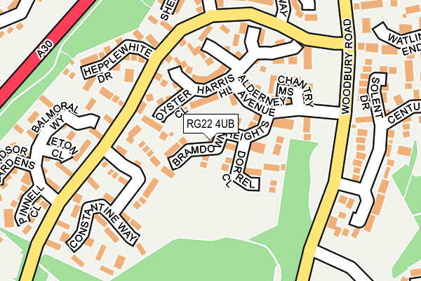 RG22 4UB map - OS OpenMap – Local (Ordnance Survey)