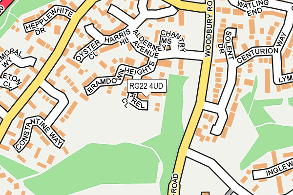 RG22 4UD map - OS OpenMap – Local (Ordnance Survey)