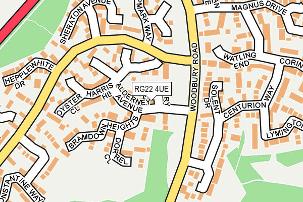 RG22 4UE map - OS OpenMap – Local (Ordnance Survey)