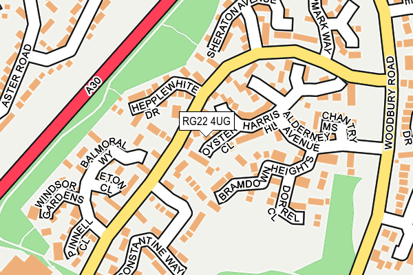 RG22 4UG map - OS OpenMap – Local (Ordnance Survey)